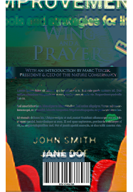 music portfolio image 2