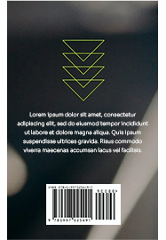 music portfolio image 2