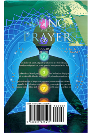 music portfolio image 2