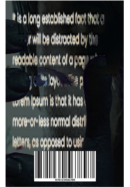 music portfolio image 2