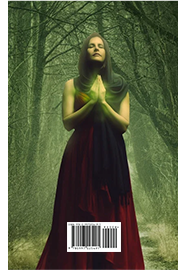 music portfolio image 2